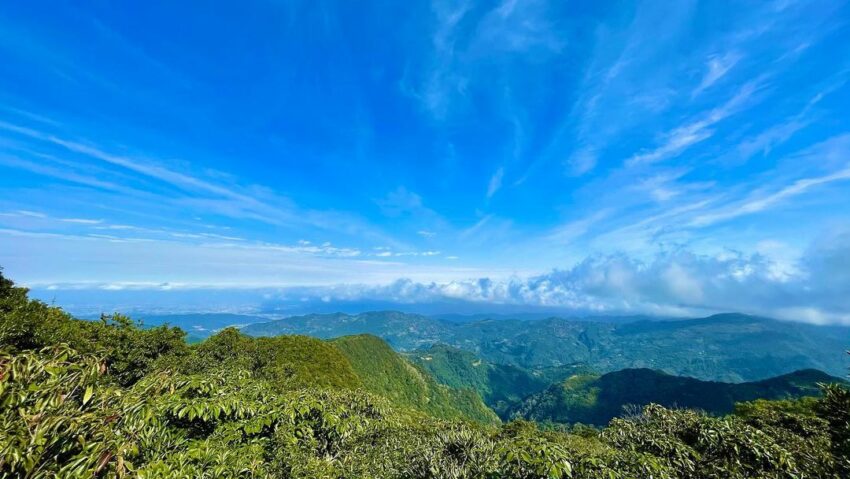 【東眼山國家森林遊樂區】桃園東眼山一日遊，門票優惠，東眼山步道攻略，攻頂桃園小百岳，！