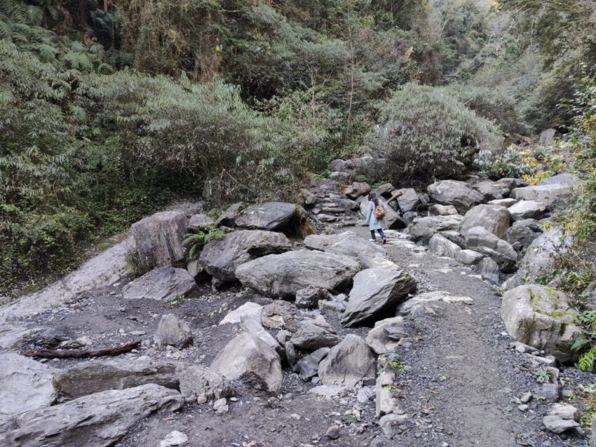 鎮西堡步道 | 鎮西堡一日遊新手必看攻略【路況交通、景點、天氣、千年神木】