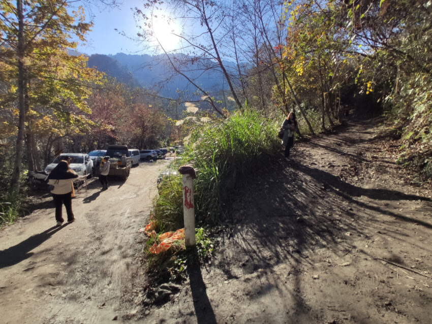 鎮西堡步道 | 鎮西堡一日遊新手必看攻略【路況交通、景點、天氣、千年神木】