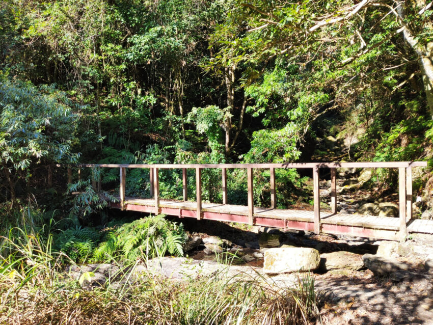 鎮西堡步道 | 鎮西堡一日遊新手必看攻略【路況交通、景點、天氣、千年神木】