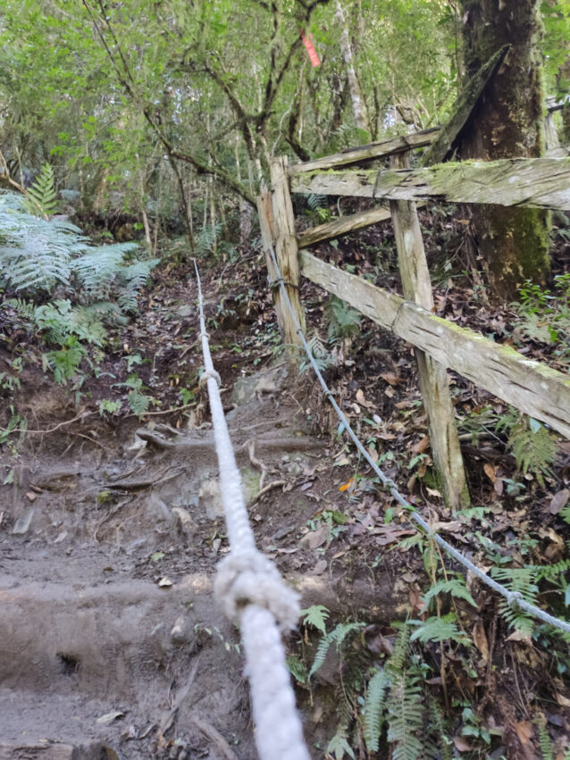 鎮西堡步道 | 鎮西堡一日遊新手必看攻略【路況交通、景點、天氣、千年神木】