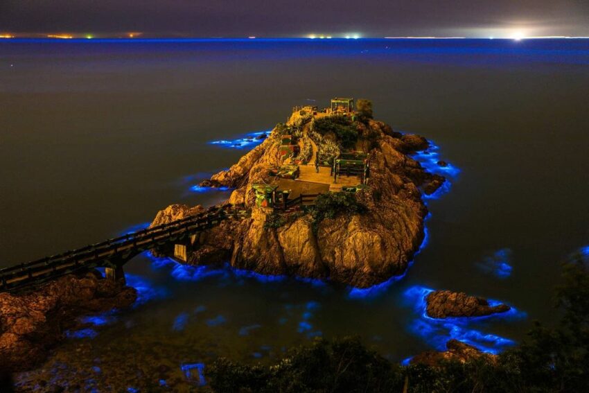 【馬祖藍眼淚】最佳觀賞時間、追淚景點、此生不能錯的藍色眼淚懶人包