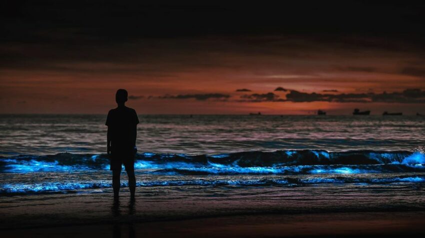 【馬祖藍眼淚】最佳觀賞時間、追淚景點、此生不能錯的藍色眼淚懶人包