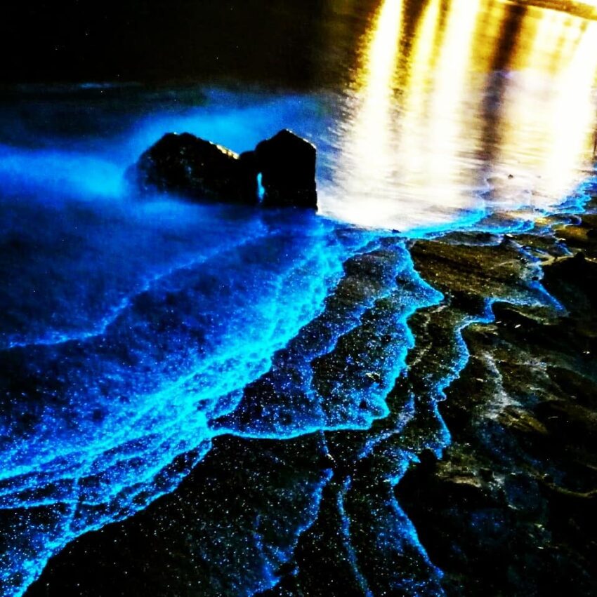 【馬祖藍眼淚】最佳觀賞時間、追淚景點、此生不能錯的藍色眼淚懶人包