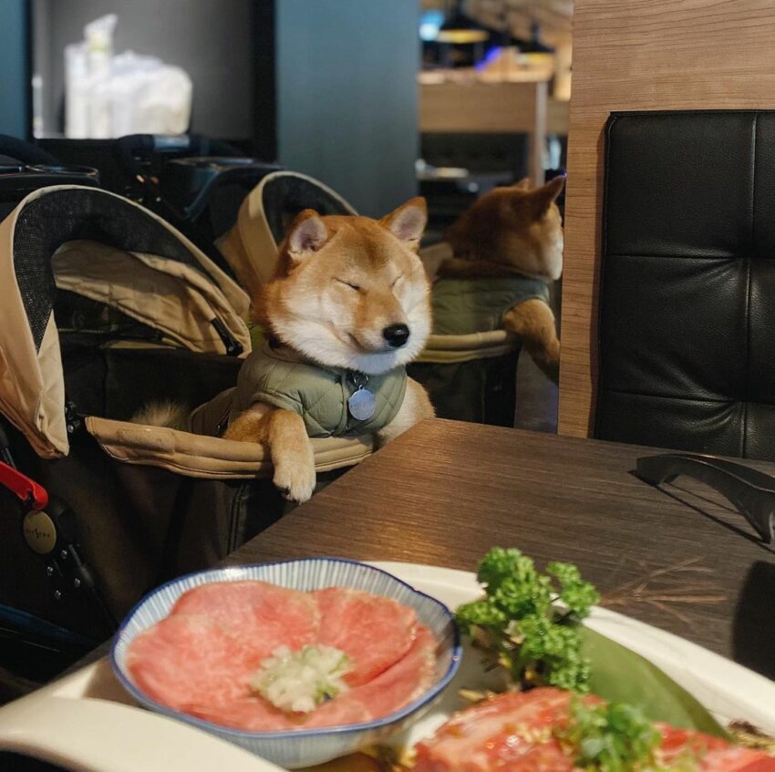 台中燒肉推薦 13間台中日式燒肉/燒烤/吃到飽，A5和牛大口滿足你的味蕾！