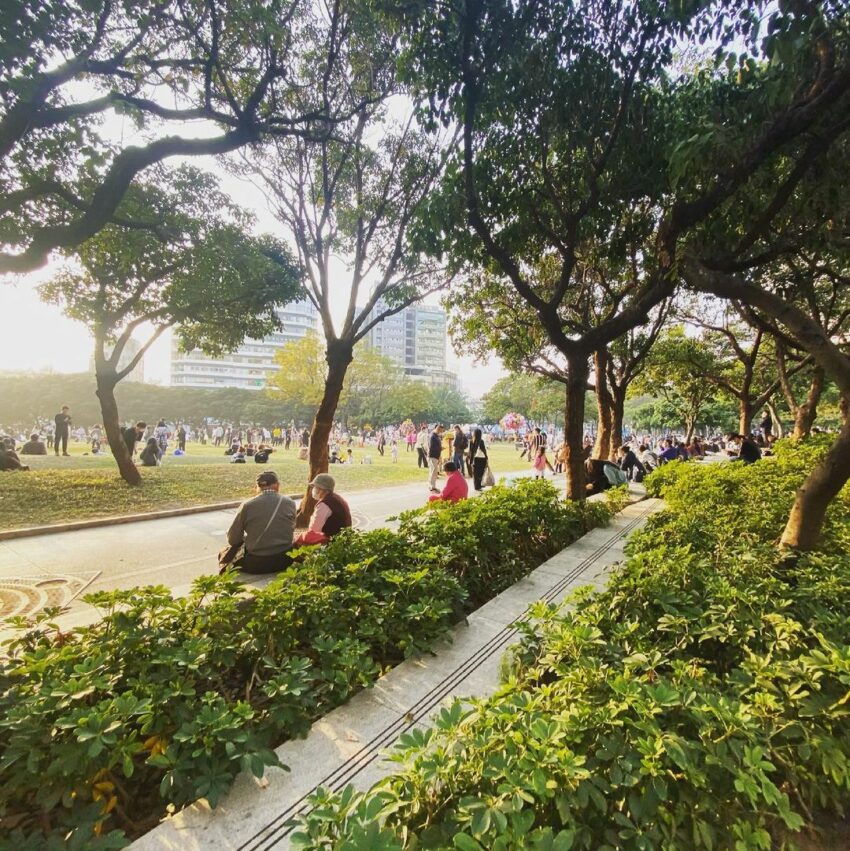 台中草悟道｜草地野餐、附近文青景點、文創市集一日遊散策