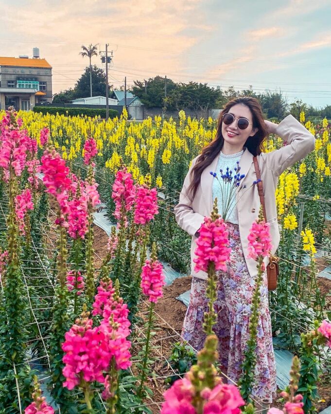 向陽農場 桃園觀音【向陽農場】夏日賞花打卡景點,一起徜徉在向日葵黃色花海中吧! 2 2026