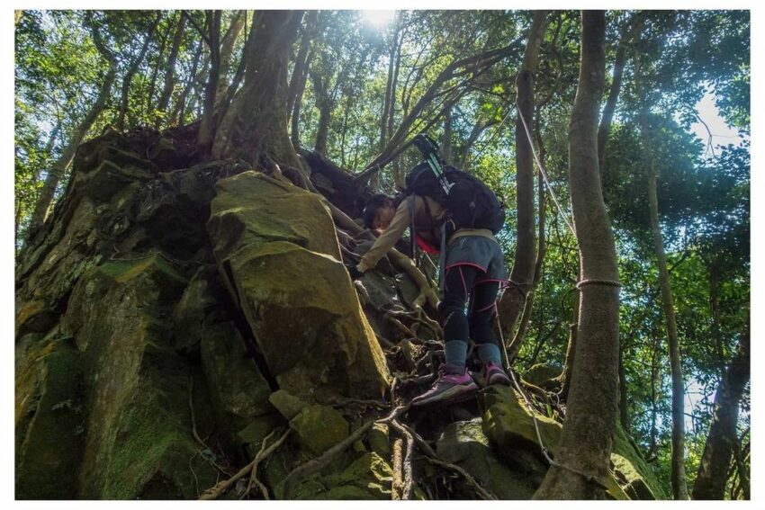 苗栗登山步道|嚴選 10 條山林步道、古道、羽量級小百岳【戶外健行首選】 苗栗登山步道|嚴選 10 條山林步道、古道、羽量級小百岳【戶外健行首選】