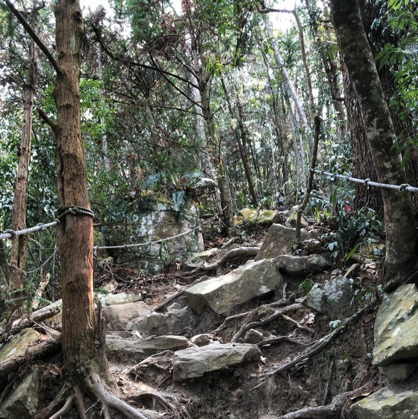 谷關七雄｜登百岳前的行前練習，登山新手先認識谷關七座中級山的難易度