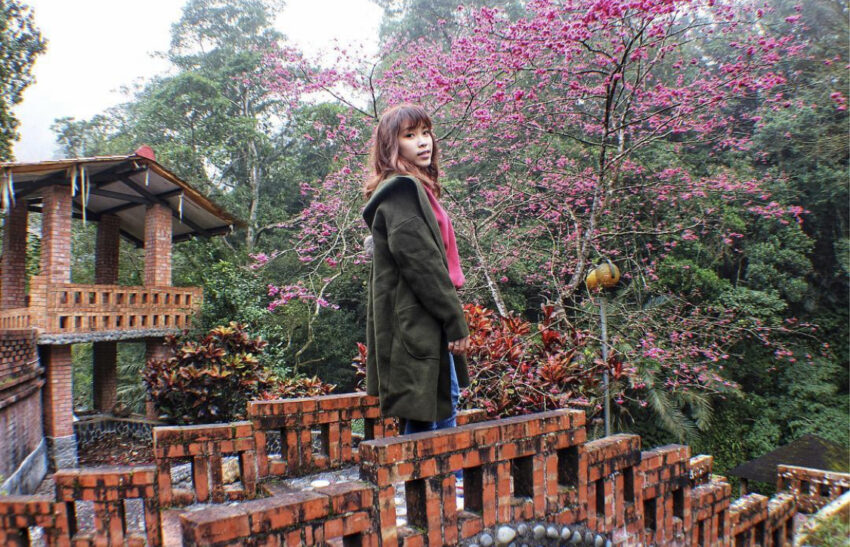 【新竹民宿】精選新竹特色民宿,新竹包棟民宿、寵物友善民宿,入住雲霧山林間! 【新竹民宿】精選新竹特色民宿,新竹包棟民宿、寵物友善民宿,入住雲霧山林間!