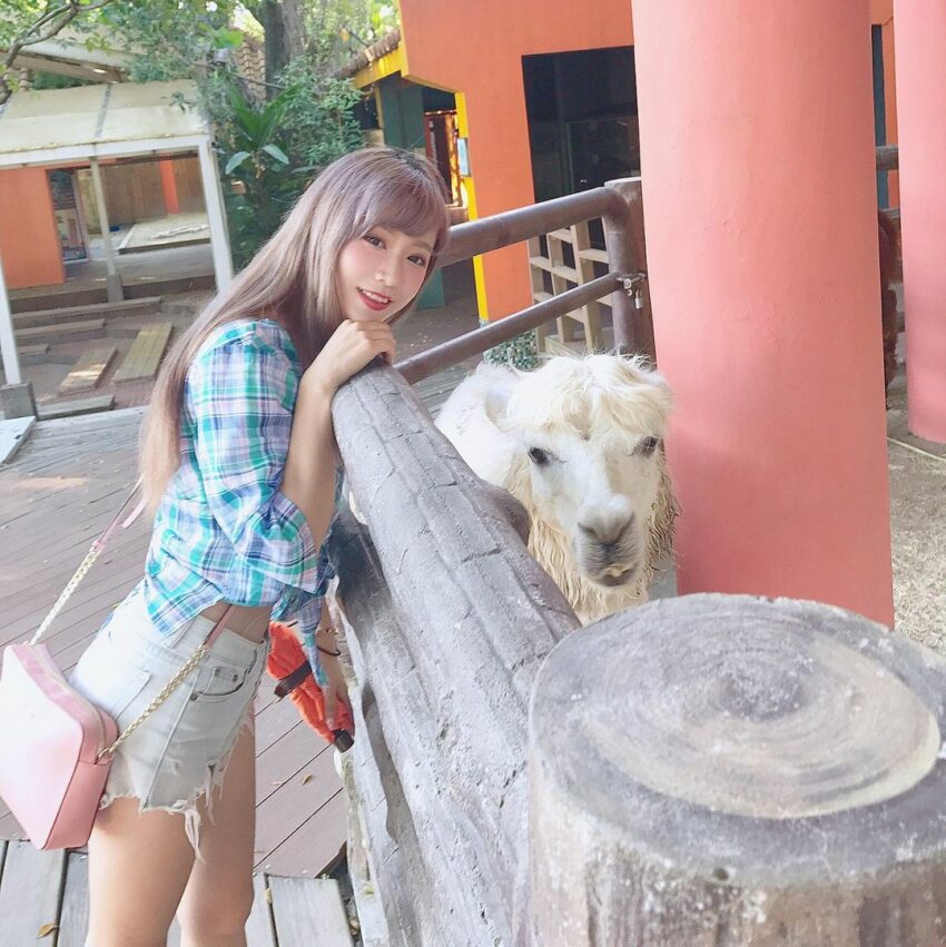 台北市立動物園攻略！木柵動物園門票停車美食交通攻略，企鵝無尾熊熊貓水豚等13個必看動物區