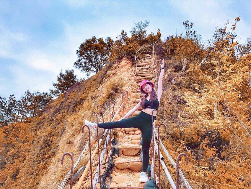 苗栗登山步道|嚴選 10 條山林步道、古道、羽量級小百岳【戶外健行首選】 苗栗登山步道|嚴選 10 條山林步道、古道、羽量級小百岳【戶外健行首選】