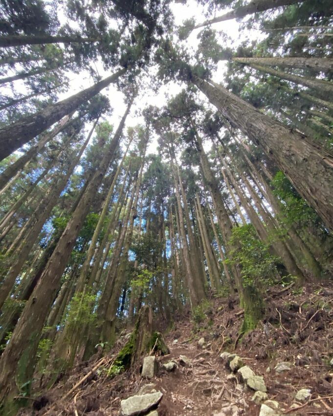 谷關七雄｜登百岳前的行前練習，登山新手先認識谷關七座中級山的難易度