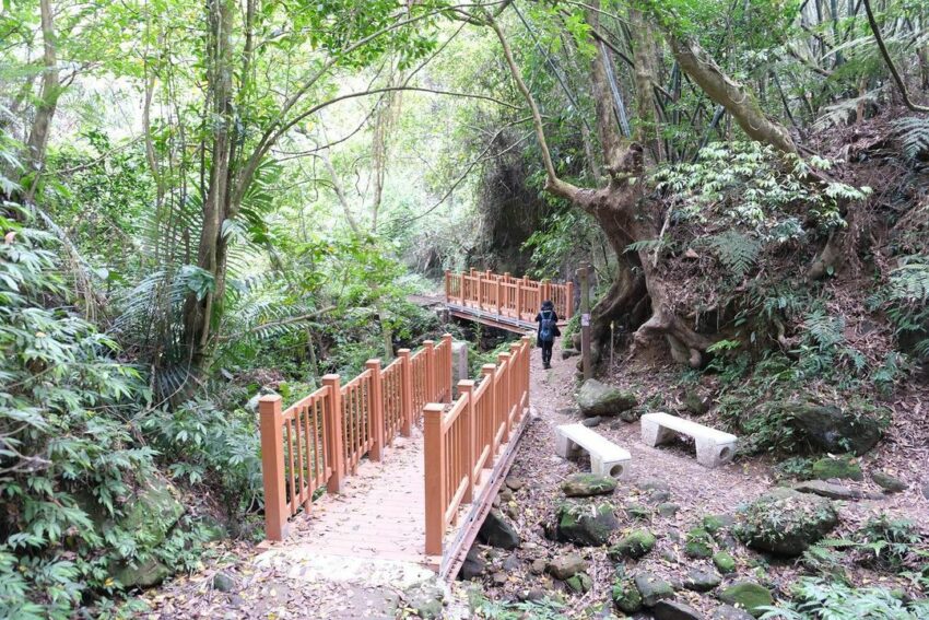 苗栗登山步道|嚴選 10 條山林步道、古道、羽量級小百岳【戶外健行首選】 苗栗登山步道|嚴選 10 條山林步道、古道、羽量級小百岳【戶外健行首選】