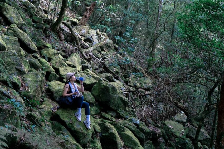 鳶嘴山步道, 下山, 鳶嘴山路線