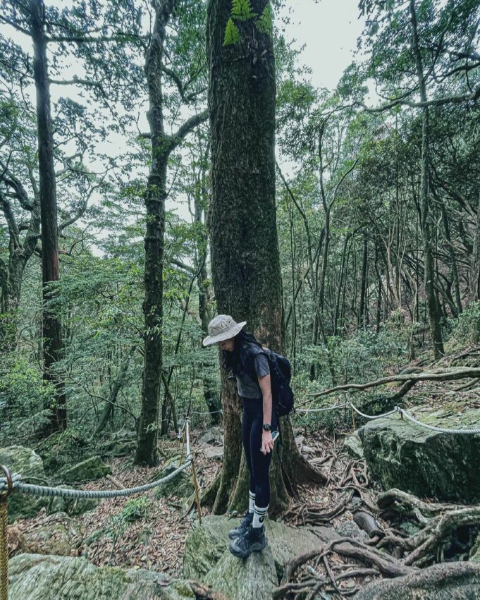 鳶嘴山, 鳶嘴山步道