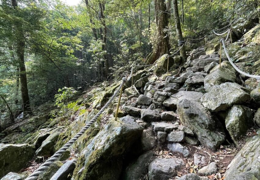 鳶嘴山爬多久, 鳶嘴山路線, 鳶嘴山穿著, 鳶嘴山步道