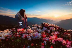 合歡山交通、住宿、景點懶人包！帶你輕鬆賞杜鵑花、拍星空銀河、日出夕陽等絕美山景！