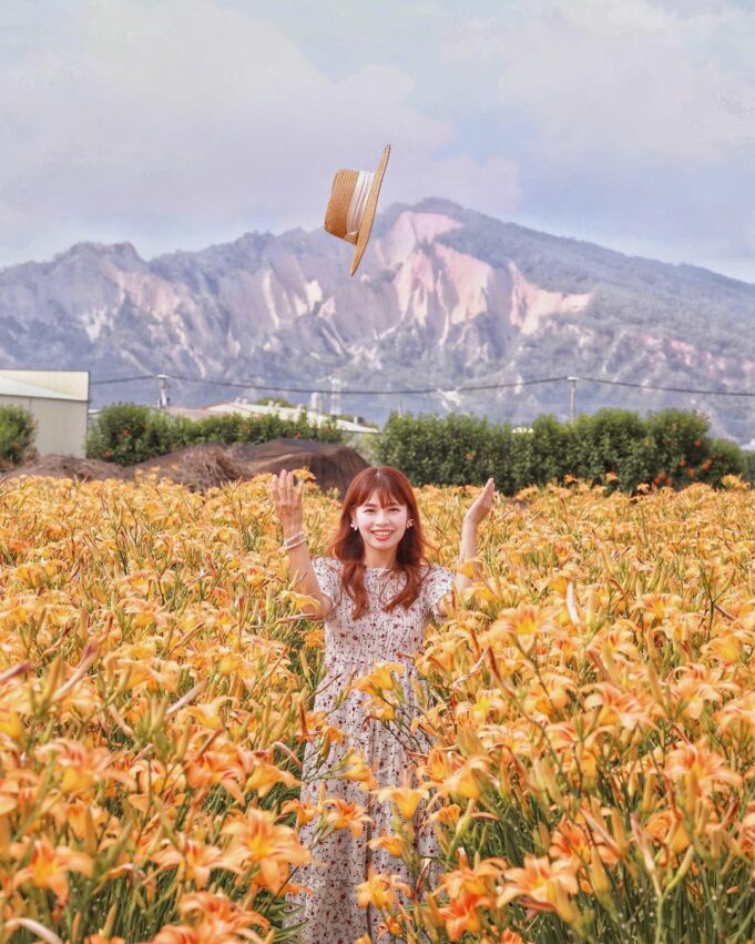 后里景點一日遊｜舊山線圳磚橋、后里馬場、中社花海、秘境景點、觀光工廠推薦