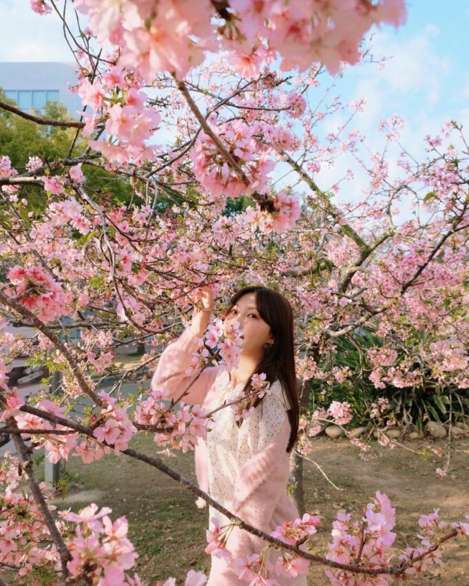 【台中賞櫻景點】推薦10個台中櫻花秘境、櫻花勝地，春天旅遊這樣玩！