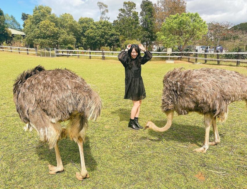 【台東景點推薦】最新60個台東一日遊必去景點，帶你輕鬆規劃台東旅遊景點，台東好玩的景點通通在這裡！