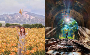 【后里景點】台中后里一日遊，舊山線圳磚橋、后里馬場、中社花海、秘境景點、觀光工廠推薦