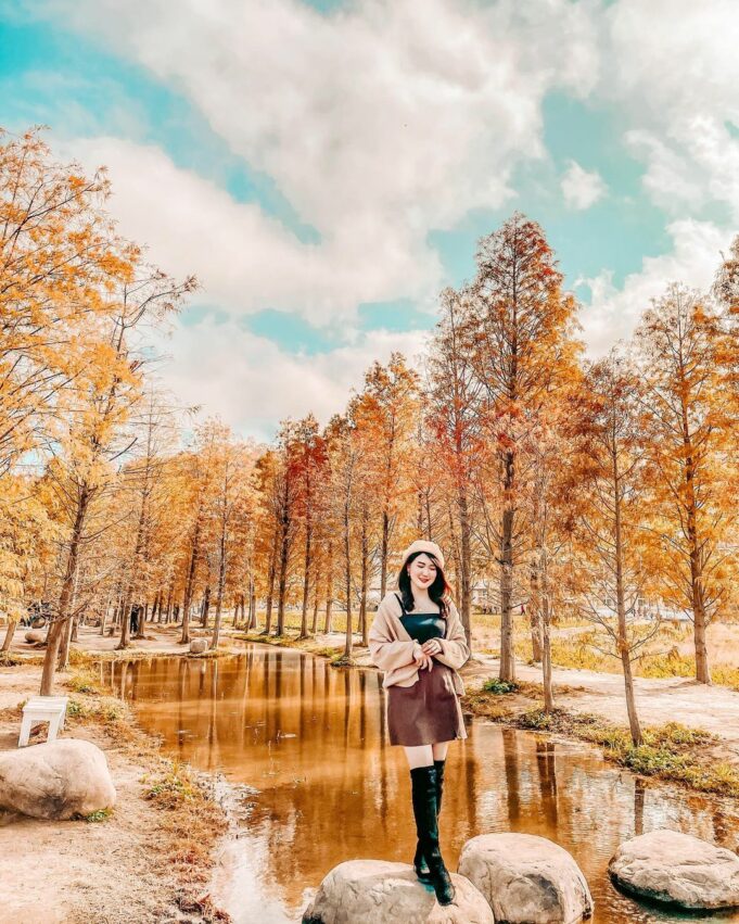 后里景點一日遊｜舊山線圳磚橋、后里馬場、中社花海、秘境景點、觀光工廠推薦