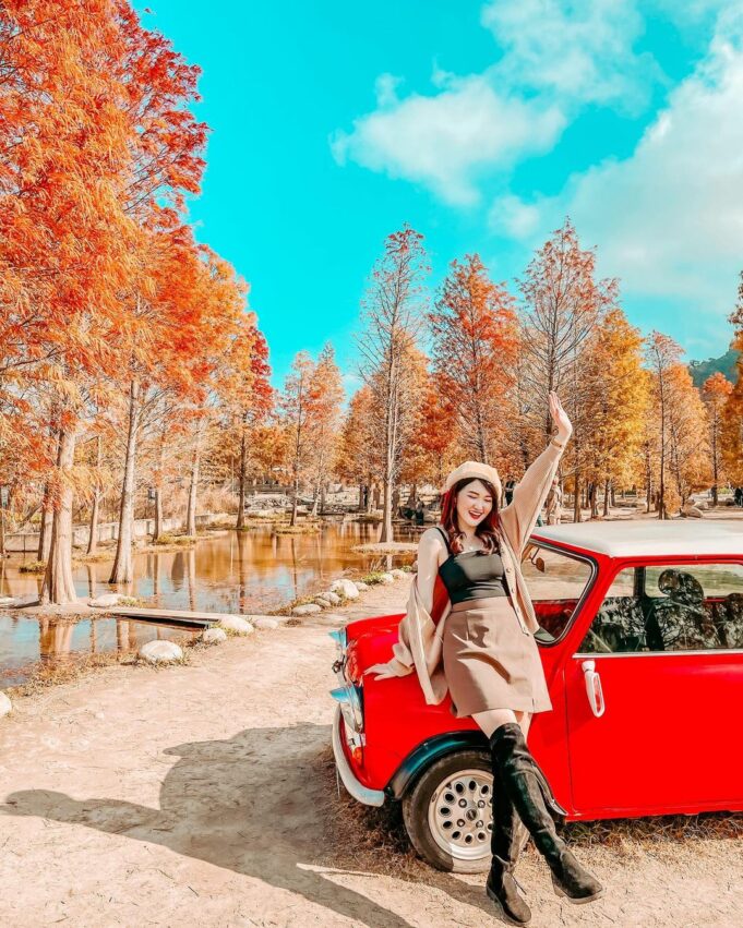 后里景點一日遊｜舊山線圳磚橋、后里馬場、中社花海、秘境景點、觀光工廠推薦