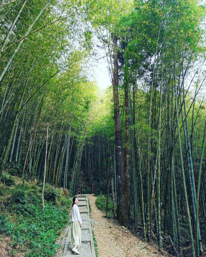 雲林登山步道 雲林登山步道｜一篇帶你收藏７條雲林熱門步道，小抹茶山、台版大峽谷、龍過脈森林步道 4 2026