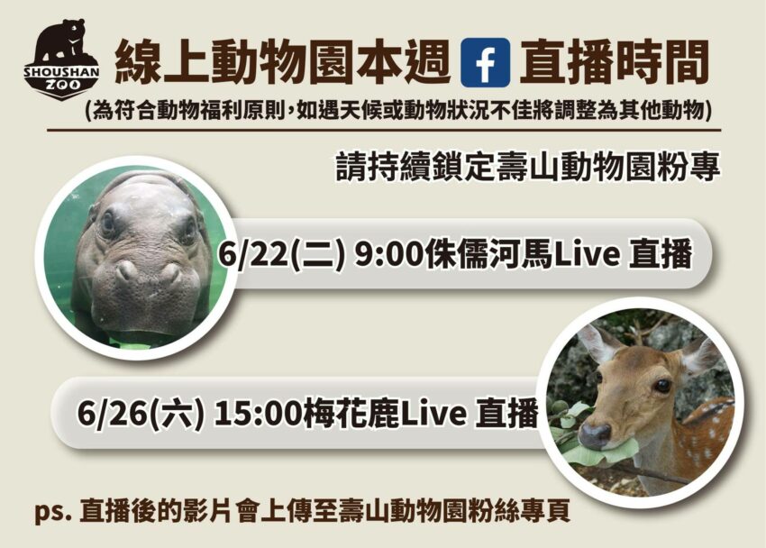 線上動物園 【全台】線上動物園、海洋樂園好療癒，小朋友在家也能看到超萌貓熊、長頸鹿、水豚君。 4 2026