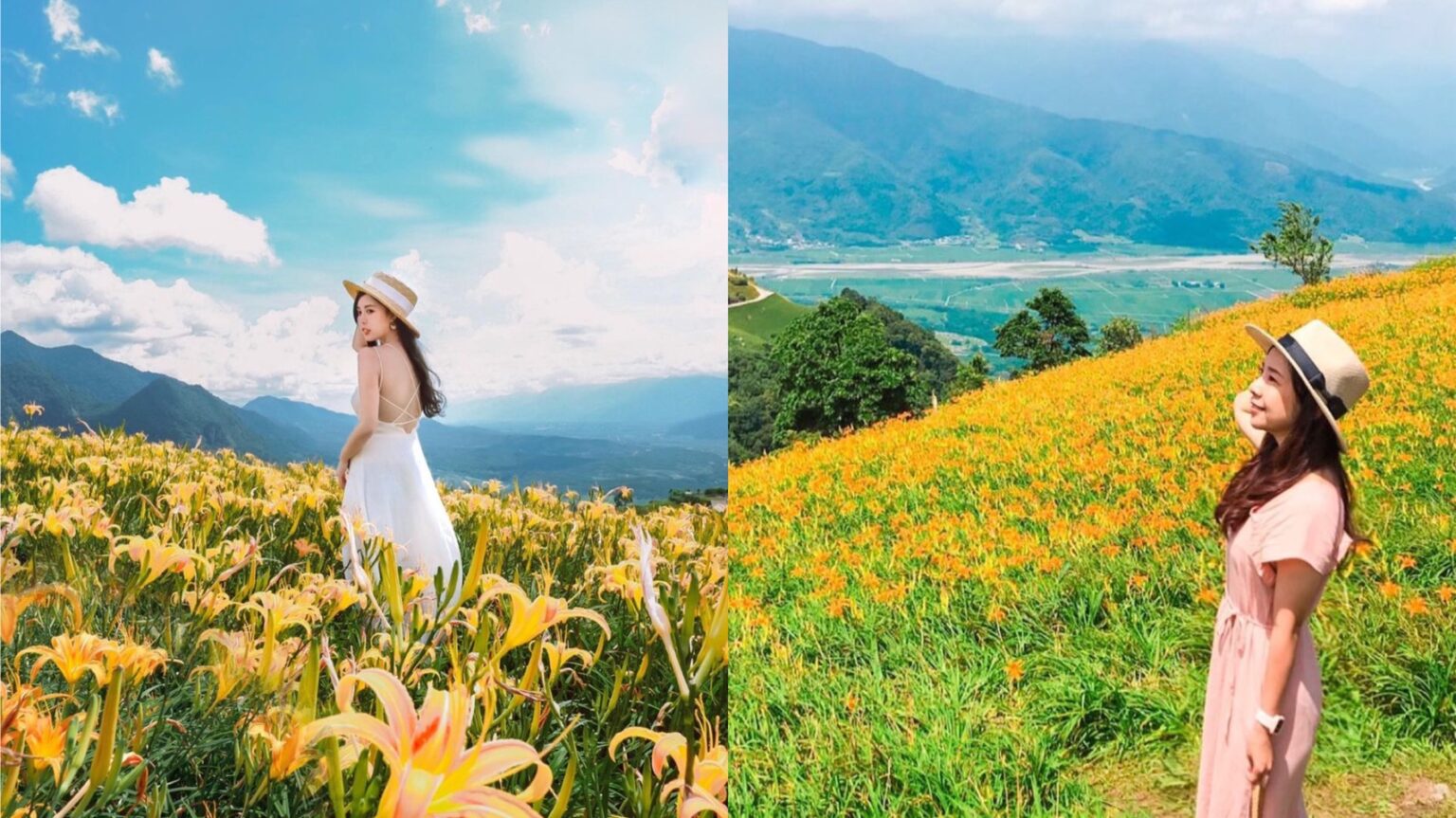 【六十石山】金針花季最新花況！六十石山金針花賞花攻略，富里花海景觀區最佳賞花時間