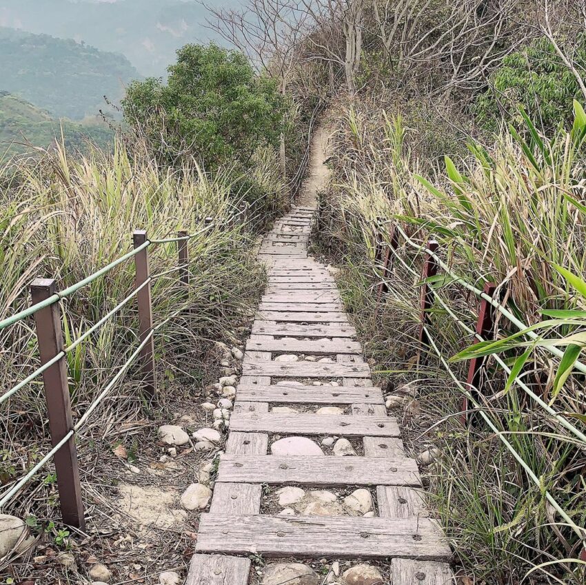 九九峰森林步道｜南投草屯第一景，結合自然生態與藝術氣息的環狀森林步道