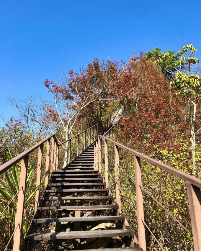 草屯景點 【2026草屯景點推薦】精選草屯一日遊必去景點、親子景點與順遊路線 16 2026