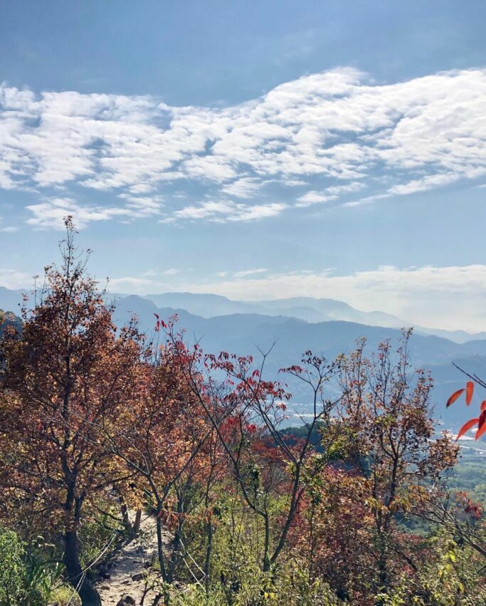 九九峰森林步道 【九九峰森林步道】南投草屯第一景，結合自然生態與藝術氣息的環狀森林步道 7 2026