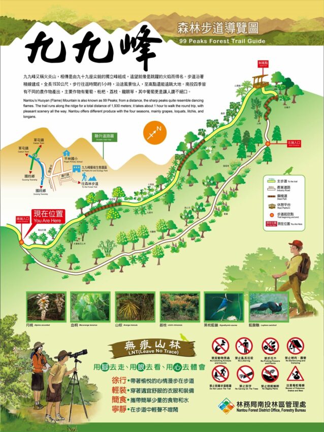 九九峰森林步道 【九九峰森林步道】南投草屯第一景，結合自然生態與藝術氣息的環狀森林步道 1 2026