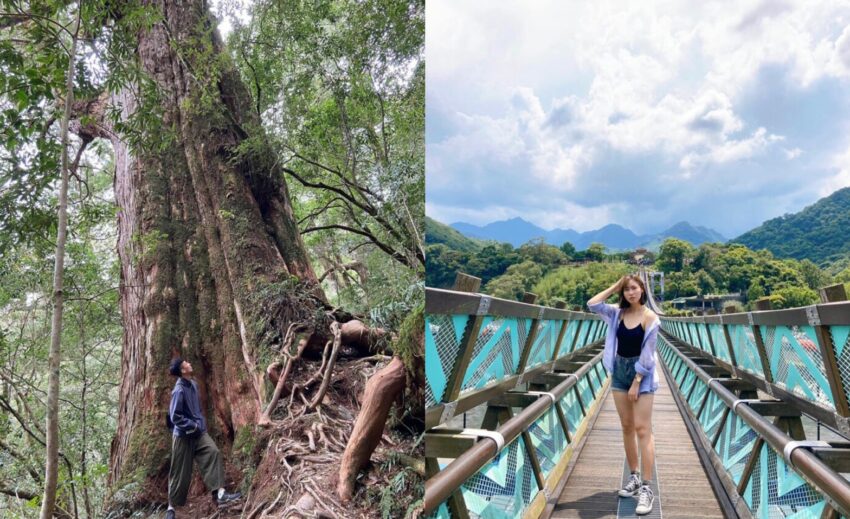 【桃園登山步道推薦】精選11條舒適好走的山林步道，擁抱神木沐浴芬多精，輕鬆get小百岳！ 4 2026