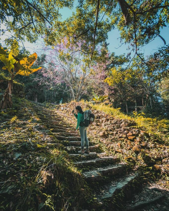 佳心駐在所的視野極佳,佳心(Kashin)有「風景絕佳」的意思,可以將拉庫拉庫溪谷的風景盡收眼底,不過隨著杉林越來越茂密,這片美景逐漸被隱藏在樹林之後。佳心駐在所以前是日警駐在所之一,因為位於制高點的位置能更加有效的控管部落;現在的佳心駐在所架設了氣象站、浴廁、洗台、涼亭、露營平台等設施,可以讓遊客在此稍作休息,而過了佳心之後,就必須申請入山入園許可才能進入。 瓦拉米步道