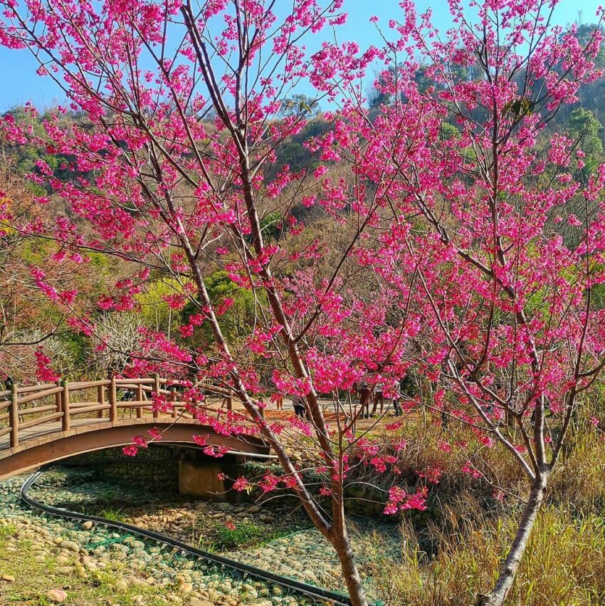 竹坑南寮步道