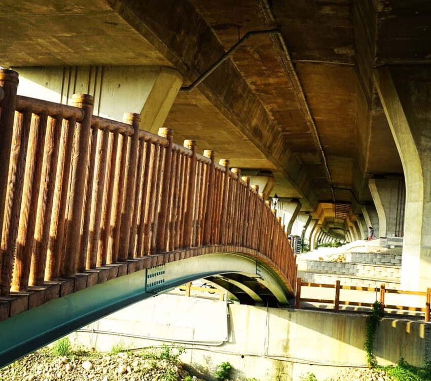 竹坑南寮步道 木本橋