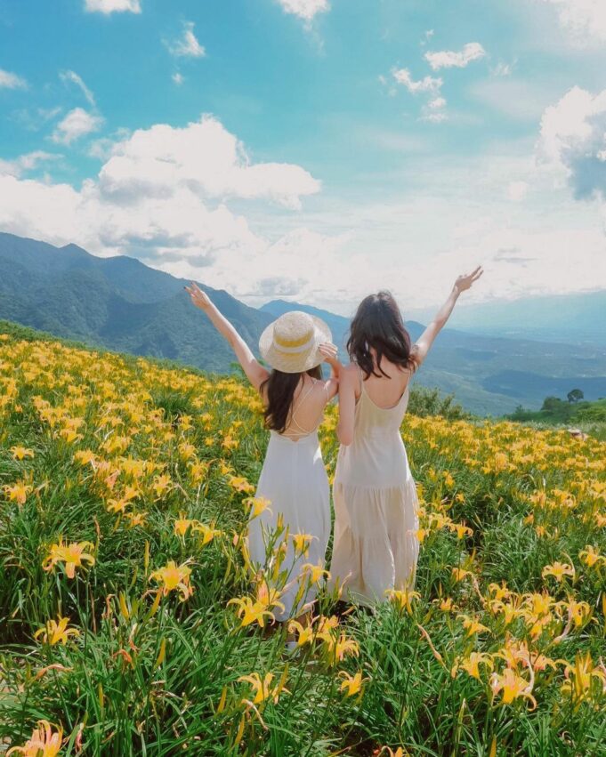 【六十石山】金針花季最新花況！六十石山金針花賞花攻略，富里花海景觀區最佳賞花時間