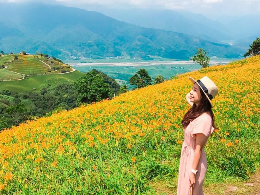 【六十石山】金針花季最新花況！六十石山金針花賞花攻略，富里花海景觀區最佳賞花時間