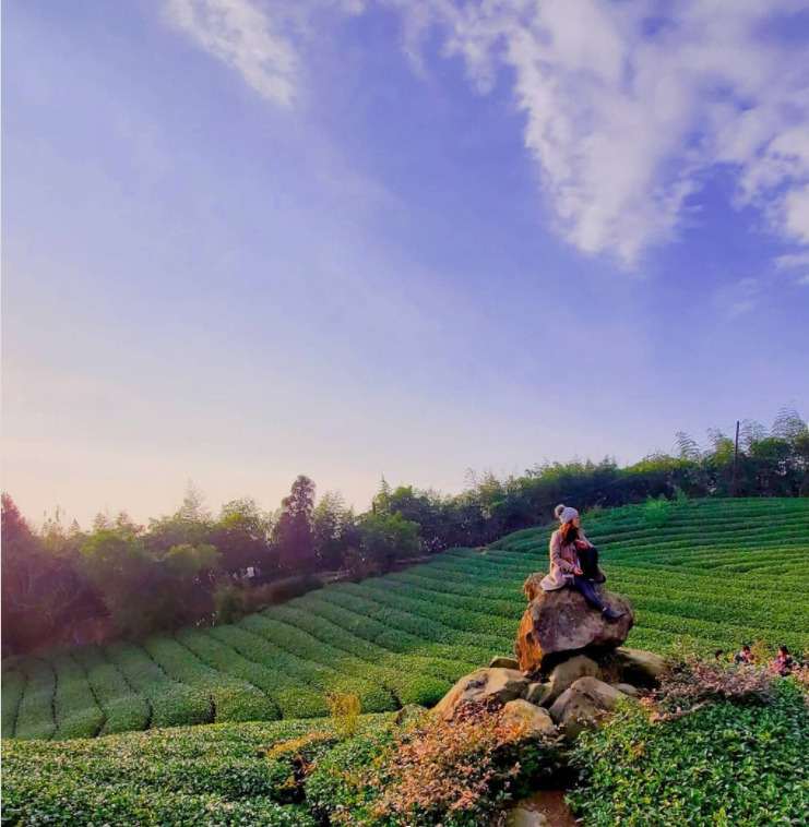 【二延平步道】隙頂二延平步道路線圖、交通、景點全攻略，一覽茶園風光、阿里山雲海