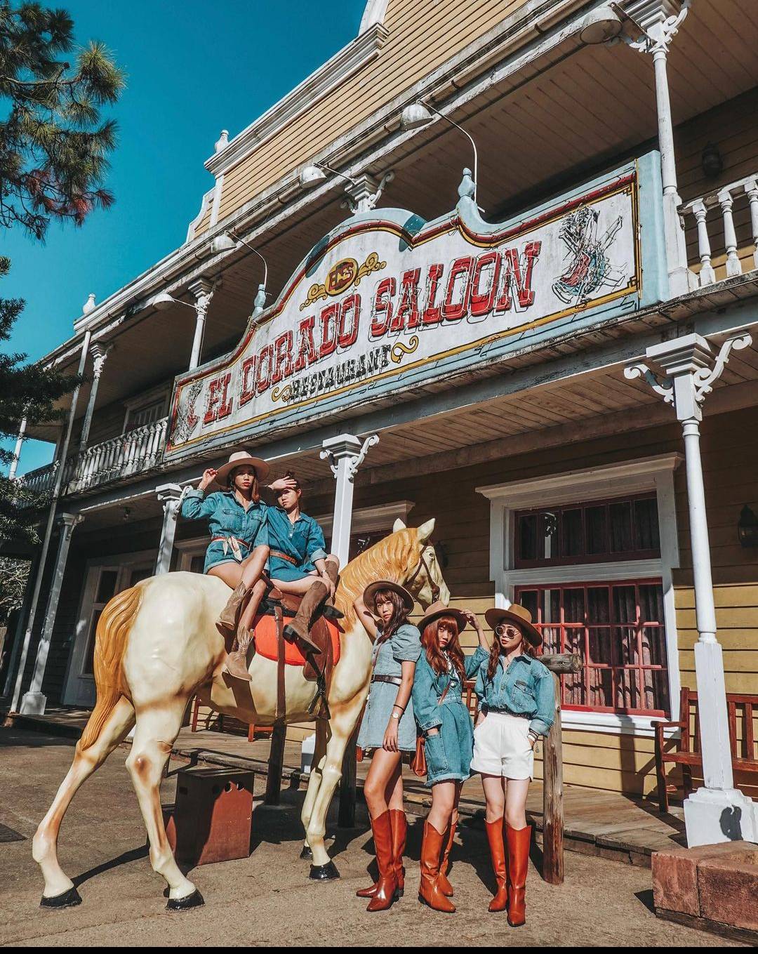 【新竹關西一日遊】超人氣關西景點攻略《馬武督/仙草花海/遊樂園/客家老街》