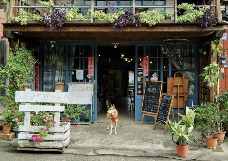 【新竹關西一日遊】超人氣關西景點攻略《馬武督/仙草花海/遊樂園/客家老街》