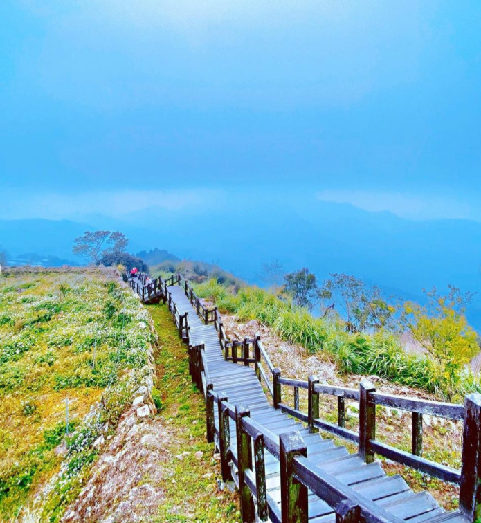 【二延平步道】隙頂二延平步道路線圖、交通、景點全攻略，一覽茶園風光、阿里山雲海