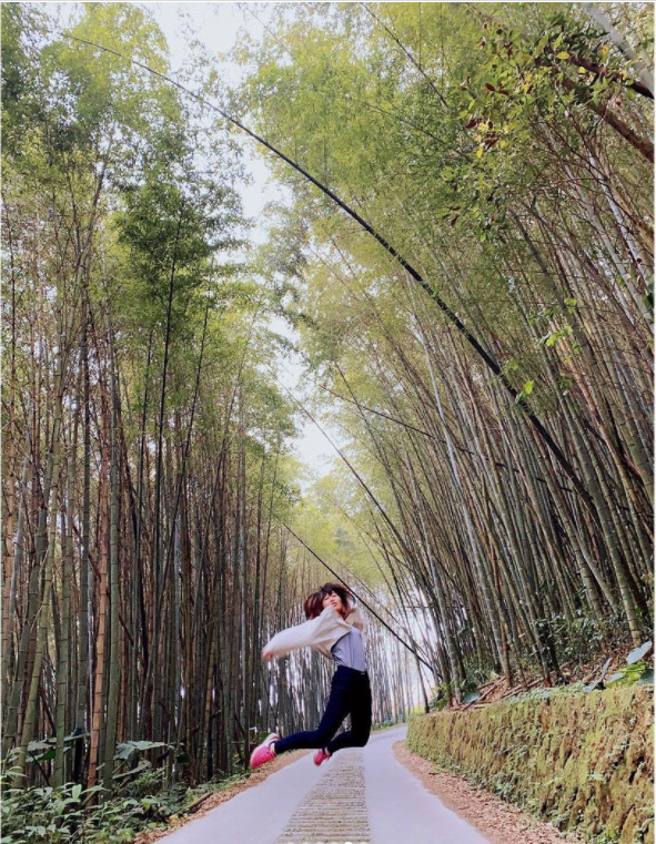 【二延平步道】隙頂二延平步道路線圖、交通、景點全攻略，一覽茶園風光、阿里山雲海