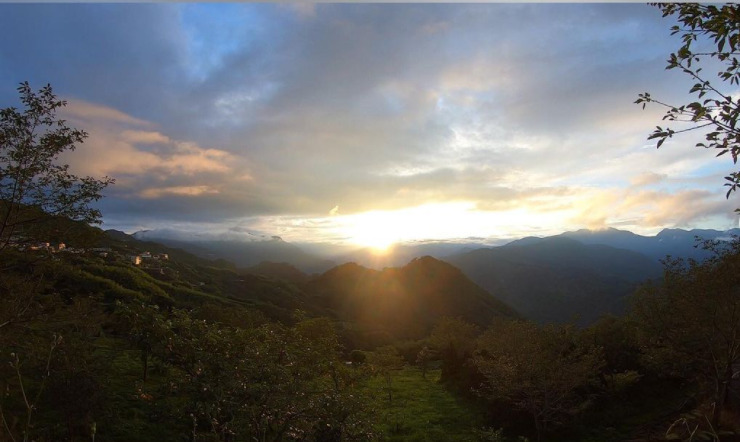 【二延平步道】隙頂二延平步道路線圖、交通、景點全攻略，一覽茶園風光、阿里山雲海