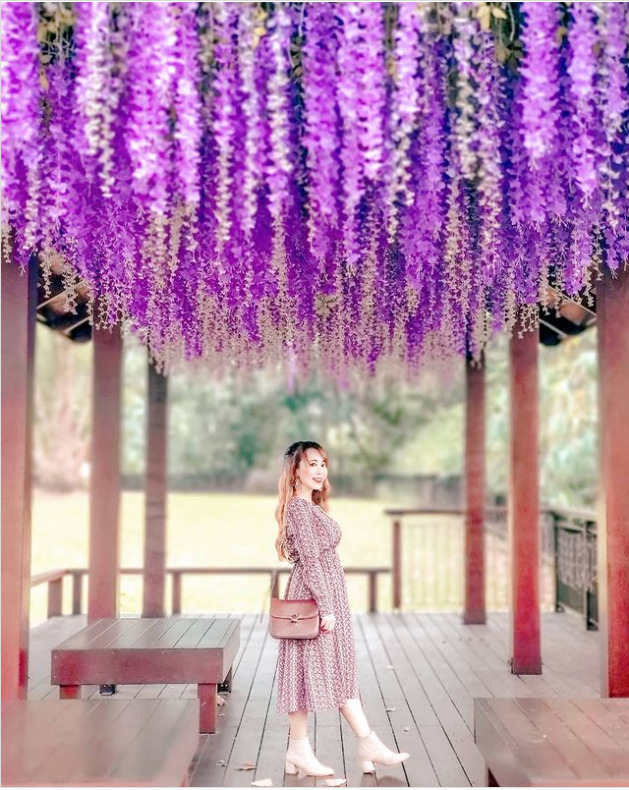 【二延平步道】隙頂二延平步道路線圖、交通、景點全攻略，一覽茶園風光、阿里山雲海