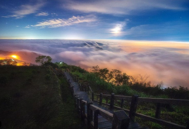【二延平步道】隙頂二延平步道路線圖、交通、景點全攻略，一覽茶園風光、阿里山雲海