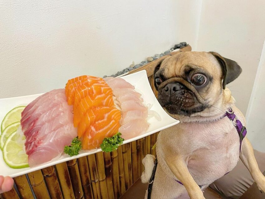 豐濱景點推薦【大石鼻山步道】磯崎海水浴場旁超美觀海步道，享山海美景秘境